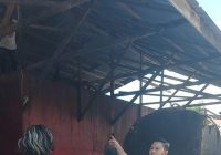 Hampir Sepekan, Polres Masih Lakukan Penyelidikan Temuan Gudang Penyimpanan CPO dan Minyak Goreng Curah di Tanah Bumbu