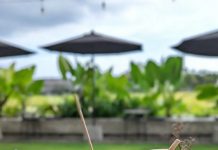 Manfaat Air Kelapa Muda untuk Sembuhkan Maag dan GERD