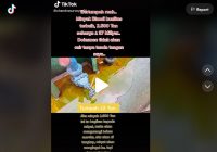 Video Minyak Goreng Tumpah ke Laut Viral di TikTok, Netizen: Doa Emak-emak Terkabul