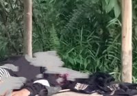 Mayat Wanita Ditemukan di Pondokan di Desa Haliau Batu Benawa HST