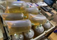8.000 Liter Minyak Goreng Curah Bersubsidi Bakal Digelontor untuk UMKM dan Masyarakat Tabalong