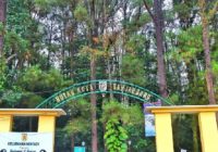 Gubernur Kalsel Instruksikan Kelola Kawasan Hutan Pinus Banjarbaru Secara Maksimal