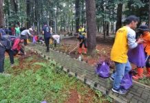 Dishut Kalsel Remajakan Kawasan Hutan Pinus Mentaos Banjarbaru