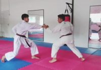 Tips Belajar Strategi Membeladiri, Go No Sen