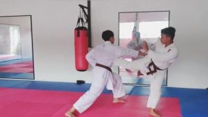 Strategi membela diri Tai No Sen