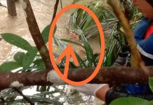 Satu Korban Tenggelam di Saluran Irigasi Km 17 Simpang Empat Tanah Bumbu Ditemukan