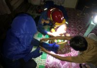 Tim Rescue Damkar Banjar Evakuasi Sarang Tawon yang Meresahkan Warga Tambak Sirang