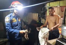 Pemilik Rumah Dapati Ular Sanca Diatas Pintu Dapur, Langsung "Ngidam"