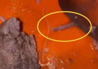 Viral Video Potong Bakso Eh Dagingnya Seperti 'Buntut Tikus'  Langsung Muntahkan Isi Perut