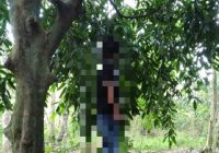 Pria Bunuh Diri Tergantung di Atas Pohon di Desa Andang Kabupaten HST Langsung Dievakuasi