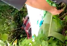 Idrus Karyawan PT Barito Murni Ditemukan Meninggal Dunia di Semak-Semak di Tamban Kabupaten Batola