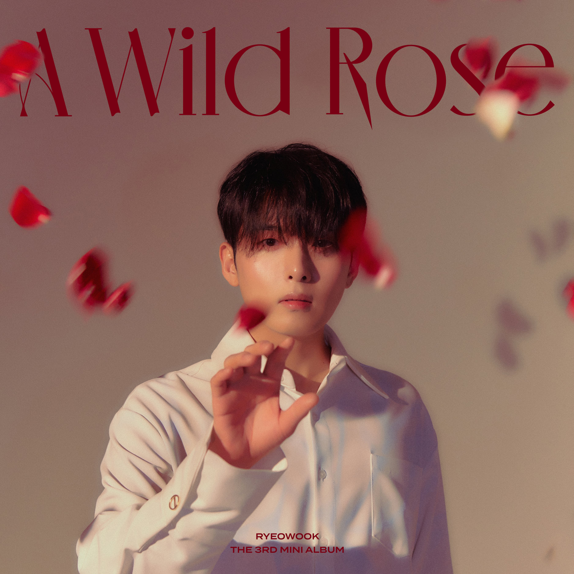 Promosikan Lagu Terbaru A Wild Rose, Ryewook Super Junior Ajari Penggemar 3 Kosakata Bahasa Korea yang Mirip dengan Bahasa Indonesia