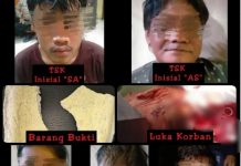 Polisi Ringkus Lagi 4 Pelaku Pengeroyokan di Cafe Assoka Jalan Trikora, Sisa Satu Masih Diburu