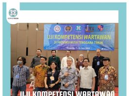 Hingga Mei 2022 Sudah Ada 317 Pengaduan, Dewan Pers Genjot Percepatan UKW