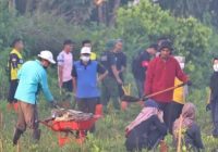 Ratusan Bibit Pohon Buah-buahan Ditanam Dishut Kalsel, Ada Rambutan Hingga Jambu Kristal