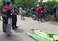 BREAKING NEWS: Genio Vs Truk Fuso di HSS, Pengendara Tewas dengan Kondisi Mengenaskan
