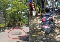 Identitas Pemotor Tewas Kecelakaan Genio Vs Fuso di HSS, Pedagang Obat