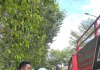 Unit Damkar Semprot Ceceran Darah Bekas Korban Tewas Kecelakaan di Jalan HM Yusi HSS