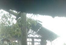 Data Korban Kebakaran di Jalan Sutoyo S Gang Purnawirawan