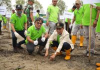 Peringati Hari Lingkungan Hidup Sedunia 2022, Tanam 2 Ribu Bibit Mangrove di Desa Sungai Dua Laut