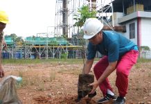 Lestarikan Lingkungan, PLN Tanam Bibit Pohon Produktif