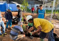 PLN Uji Coba Gunakan Abu Batu Bara PLTU Sebagai Media Tanam