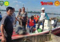 Korban Terjatuh dari Kelotok di Sungai Mentaya Sampit, Kalteng Ditemukan Meninggal Dunia