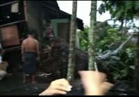 Pohon Sukun Tumbang di Jalan Veteran Gang Dahlia Banjarmasin Timpa Rumah Warga