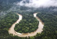 Dua Orang Dikabarkan Tersesat di Hutan Lok Laga HST Usai Menangkap Burung Liar