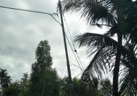 Sudah Lima Bulan Warga Tatah Makmur RT 30 Ajukan Minta Ganti Kabel Jaringan Listrik, Kondisi Mengkhawatirkan