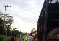 Kecelakaan Maut di Anjir Km 3, Warga Pelaihari ini Meninggal, Berikut  Identitas Korban