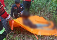 Dua Hari Tak Terlihat, Seorang Pemuda Ditemukan Tewas Tergantung di Kebun Karet