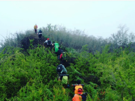 Pokdarwis, Relawan, Personel BPBD dan Basarnas Balangan Dikerahkan Mencari Pendaki Hilang di Gunung Hauk