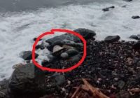 Mayat Pria Ditemukan di Pantai Pulau Sembilan, Ada KTP Asal Pati Jawa Tengah