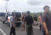 Mobil Pikup Pengangkut Rumput Terbalik di Jalan Akses Bandara Banjarbaru, Satu Orang Terkapar