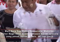 Viral Walikota Nikahi Buaya, Cium Mulut Buaya yang Didandani Gaun Pengantin Putih