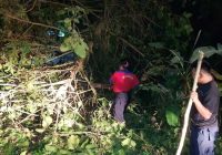 Pohon Tumbang Timpa Kabel Listrik Resahkan Warga Beramban Raya, Pelaihari