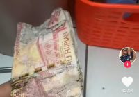 Viral Uang Segepok Rp 100 Ribu Rusak Dimakan Rayap