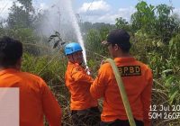 Dua Kebakaran Lahan di Cempaka Banjarbaru, BPBD Sebut 'Sengaja' Akibat Pembukaan Lahan