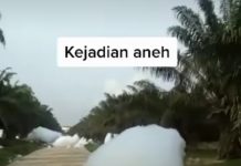 Viral Awan Jatuh dari Langit di Lahan Sawit Kampar Riau, Cek Fakta