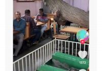 Viral Kafe Kuburan, Pelanggan Makan di Pinggir Kuburan Asli
