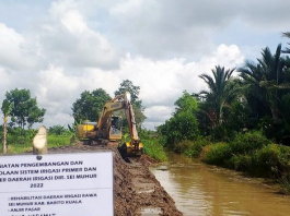 Camat di Batola Bersyukur Petani Bisa Tingkatkan Produktivitasnya