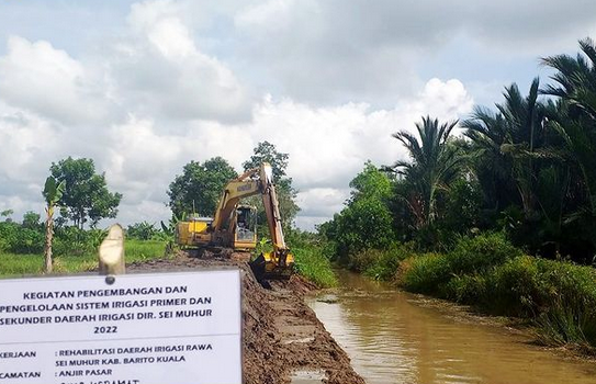 Camat di Batola Bersyukur Petani Bisa Tingkatkan Produktivitasnya