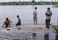 Saat Mencuci di Lanting Seorang Ibu Rumah Tangga Tenggelam di Sungai Mentaya