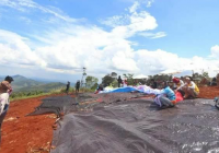 Uji Coba Sukses, Tahura Sultan Adam Bakal Miliki Destinasi Wisata Paralayang