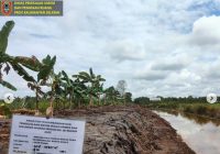 Dinas PUPR Kalsel Rehabilitasi Daerah Irigasi Rawa Sungai Muhur Kabupaten Barito Kuala