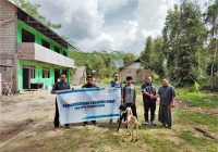 Tingkatkan Ekonomi Pondok Pesantren, Yayasan Baitul Maal PLN Salurkan Hewan Ternak