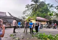 Polres Tabalong Usut Ambruknya Jembatan Gantung Akibat Tersangkut Truk Trailer, Kerugian Ratusan Juta