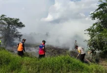 Lahan 1.500 Meter Persegi di Desa Karangan Putih Kelua Terbakar
