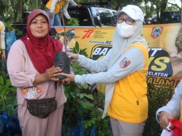 Pecinta Tanaman Buruan! Dishut Kalsel Bagikan Bibit Gratis di Kabupaten dan Kota